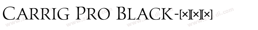 Carrig Pro Black字体转换 Carrig Pro Black字体转换